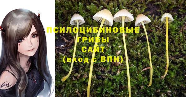 винт Абаза